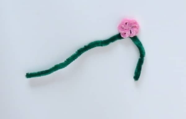 Étape des pétales de la fleur