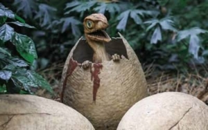 Image du thème des dinosaures